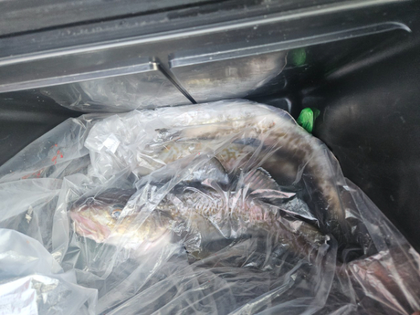 BandPhoto_2025_12_15_14_36_01 (1).jpg