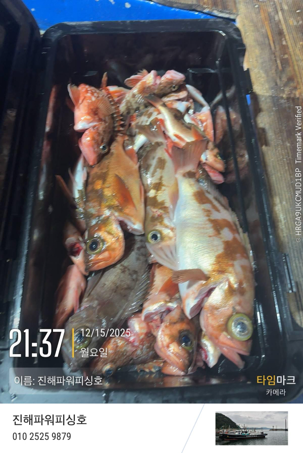 2025-12-15 21.37.37_(이름-진해파워피싱호).jpeg