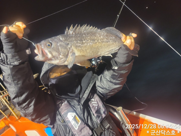 군산 선상낚시, 바다낚시 출조 전문 ☆서군산낚시☆_사진_20251228_2.jpg