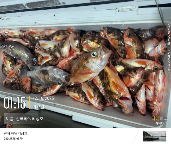 2025-12-16 01.15.17_(이름-진해파워피싱호).jpeg
