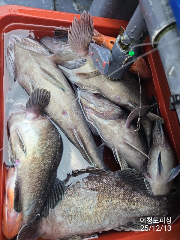 최강피싱 063.463.0800_사진_20251213_43.jpg