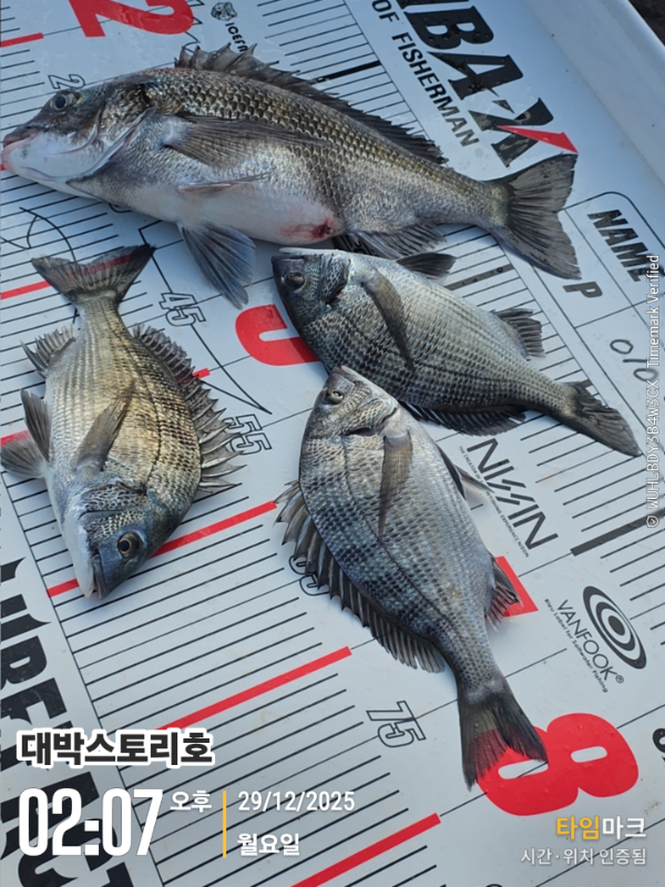 2025-12-29 02.07.33__(대박스토리호).jpg