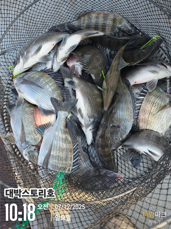 2025-12-07 10.18.16__(대박스토리호).jpg