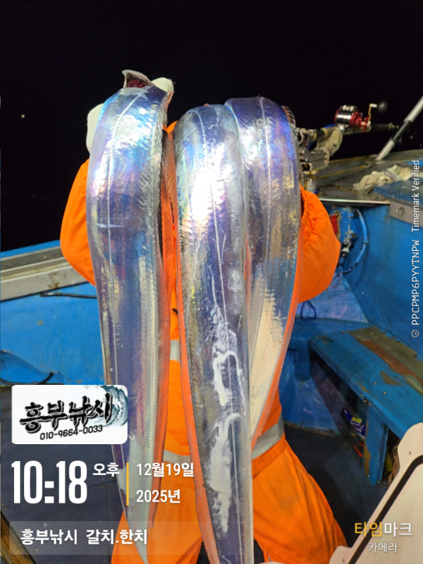 2025-12-19 10.18.42__(-흥부낚시  갈치.한치).jpg