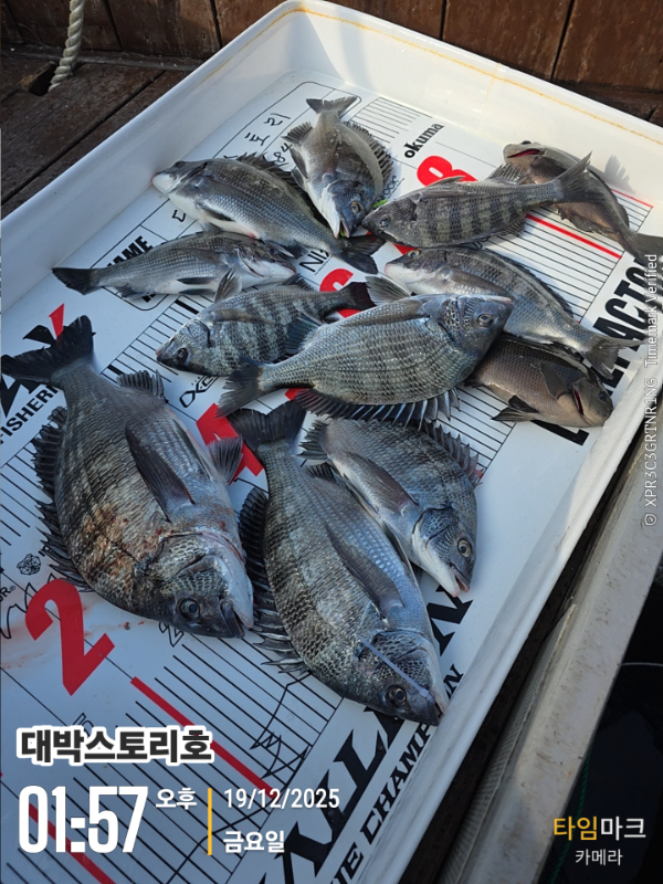 2025-12-19 01.57.06__(대박스토리호).jpg