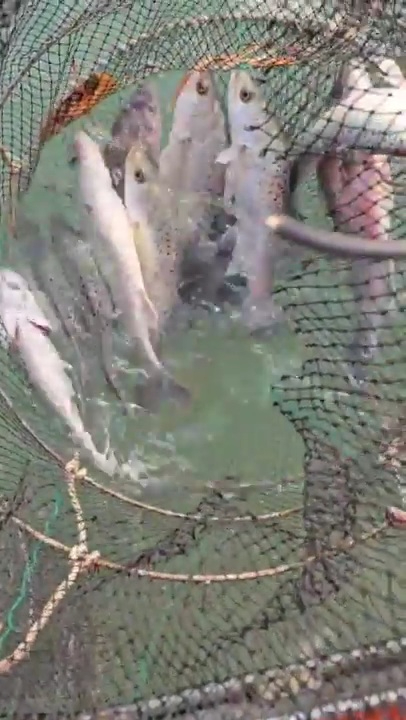 2025_12_07 17_07(2).jpg