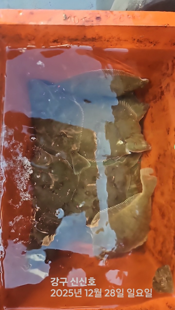 신신낚시 강구점 신신호_사진_20251228_4.jpg