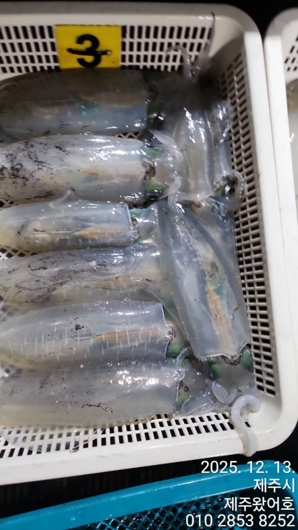 제주왔어호_사진_20251214_18.jpg