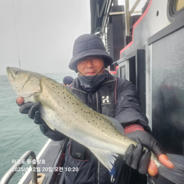 ꫛꫀꪝ✧‧˚ 태안 마검포 新출항호 .• _˚☀₊_사진_20251220_20.jpg