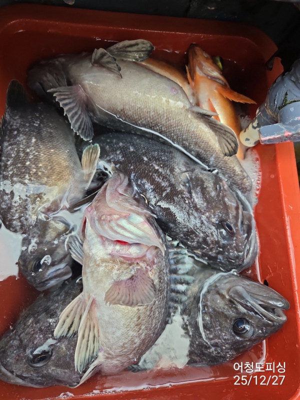 최강피싱 063.463.0800_사진_20251227_21 - 복사본.jpg