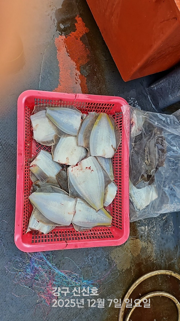 신신낚시 강구점 신신호_사진_20251207_10.jpg