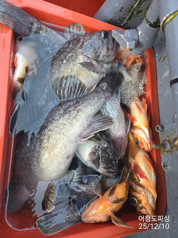 최강피싱 063.463.0800_사진_20251211_29 - 복사본.jpg