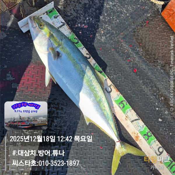 2025-12-18 12.42.50__(#-대삼치.방어.튜나)_(씨스타호-010-3523-1897).jpg