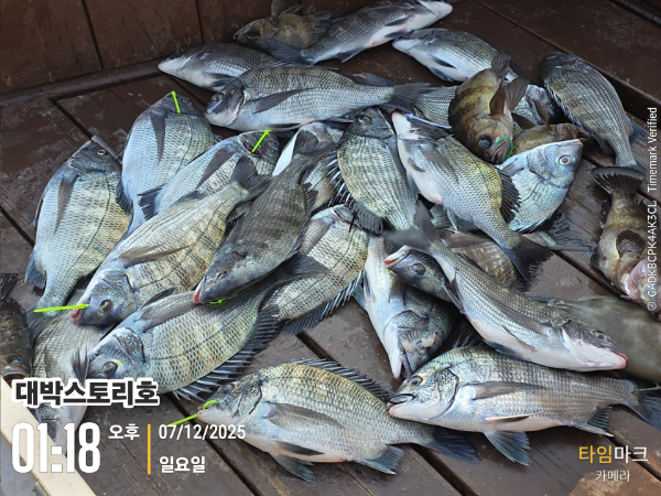 2025-12-07 01.18.18__(대박스토리호).jpg