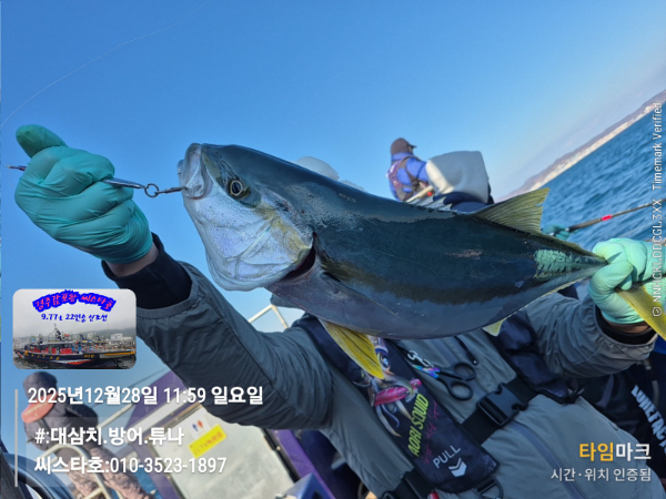 2025-12-28 11.59.02__(#-대삼치.방어.튜나)_(씨스타호-010-3523-1897).jpg