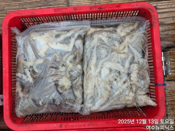 13일왕쭈꾸미.낙지 (1).jpg