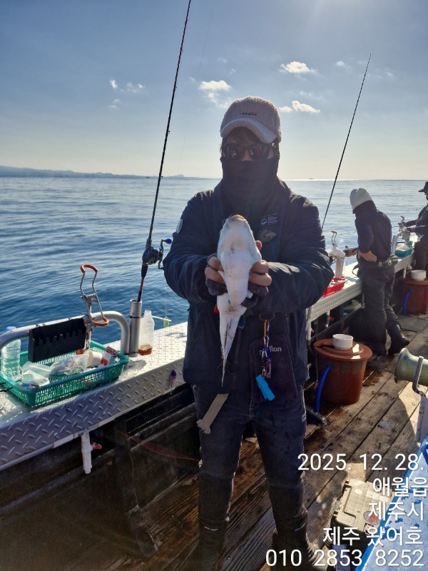 제주왔어호_사진_20251230_31.jpg