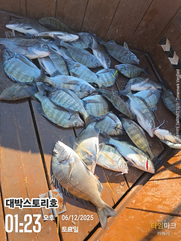 2025-12-06 01.23.35__(대박스토리호).jpg