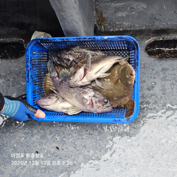 ꫛꫀꪝ✧‧˚ 태안 마검포 新출항호 .• _˚☀₊_사진_20251220_4.jpg