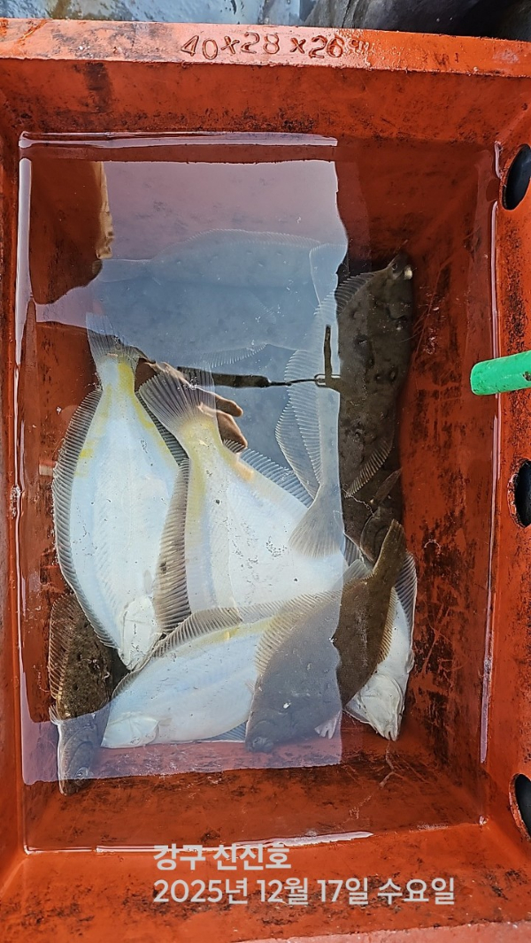 신신낚시 강구점 신신호_사진_20251217_6.jpg