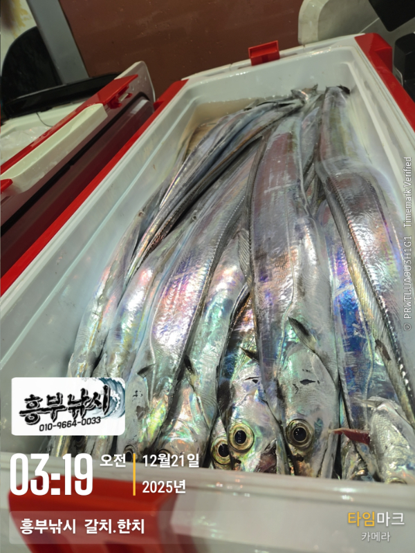 2025-12-21 03.19.28__(-흥부낚시  갈치.한치).jpg