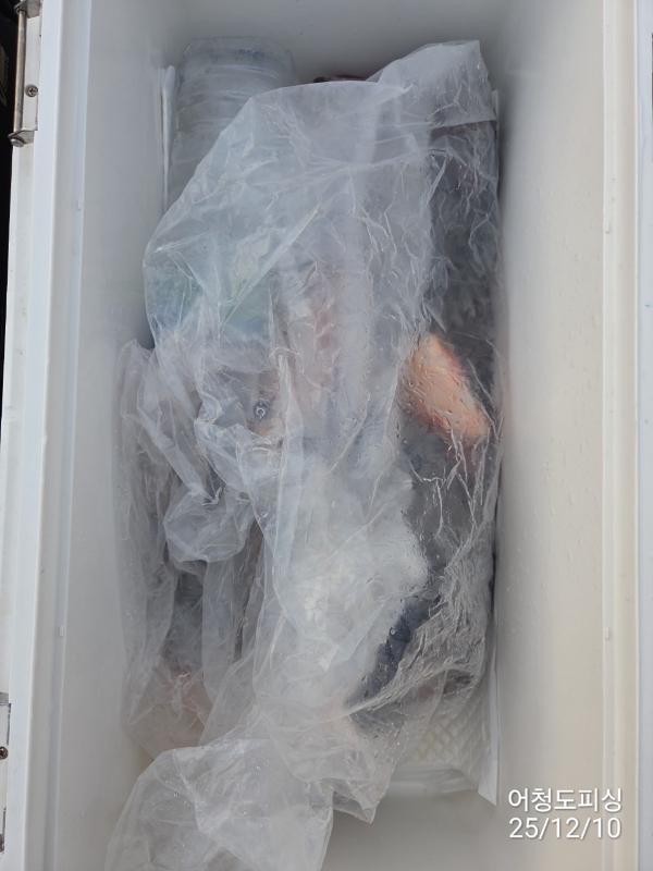 최강피싱 063.463.0800_사진_20251211_41.jpg