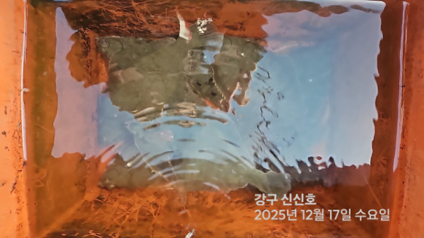 신신낚시 강구점 신신호_사진_20251217_7.jpg