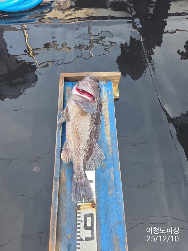 최강피싱 063.463.0800_사진_20251211_6.jpg