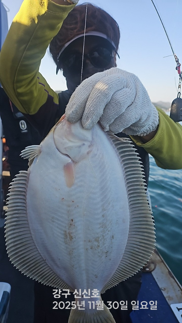 신신낚시 강구점 신신호_사진_20251130_3.jpg