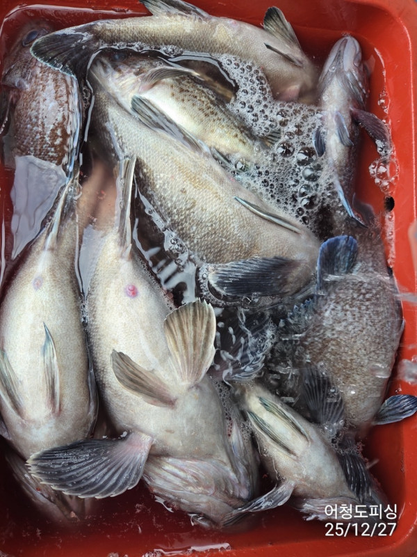 최강피싱 063.463.0800_사진_20251227_26.jpg