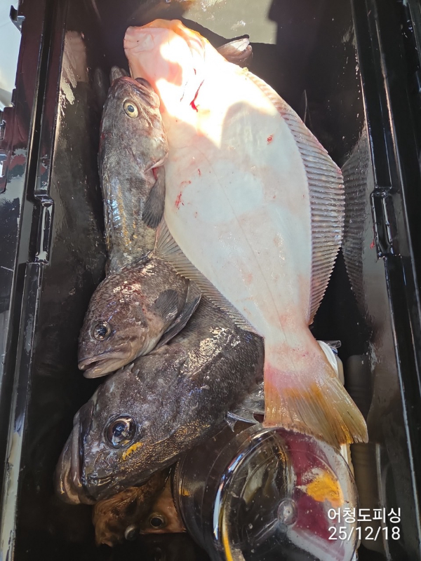 최강피싱 063.463.0800_사진_20251219_56.jpg