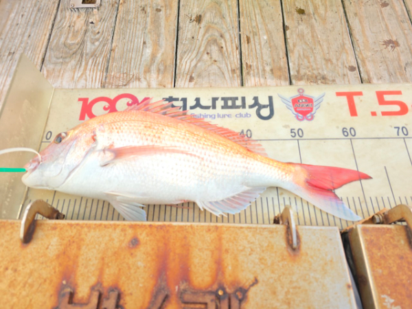1004피싱_사진_20251227_2.jpg