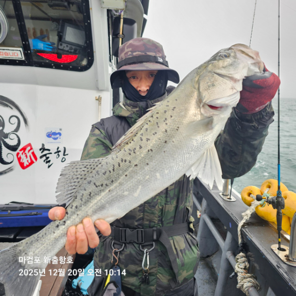 ꫛꫀꪝ✧‧˚ 태안 마검포 新출항호 .• _˚☀₊_사진_20251220_18.jpg