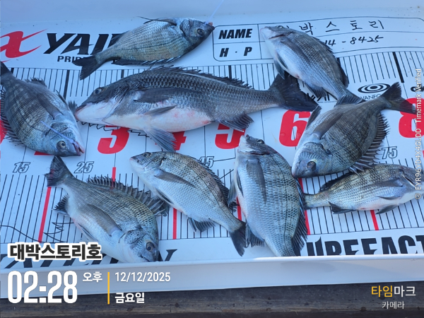 2025-12-12 02.28.47__(대박스토리호).jpg
