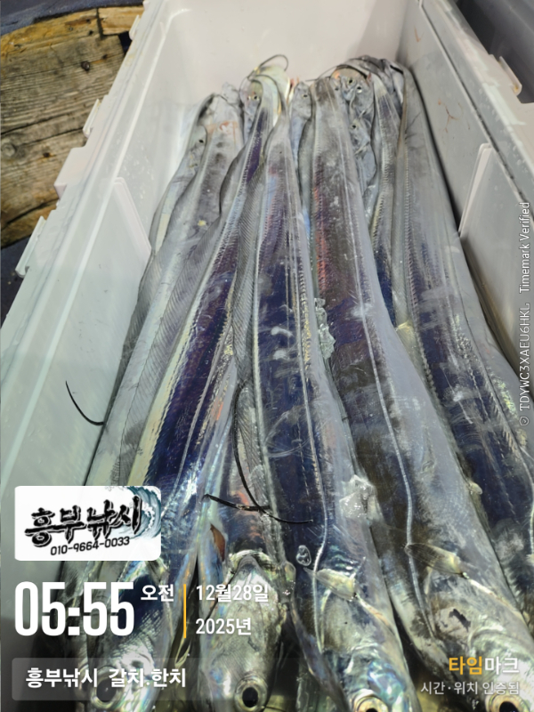 2025-12-28 05.55.00__(-흥부낚시  갈치.한치).jpg