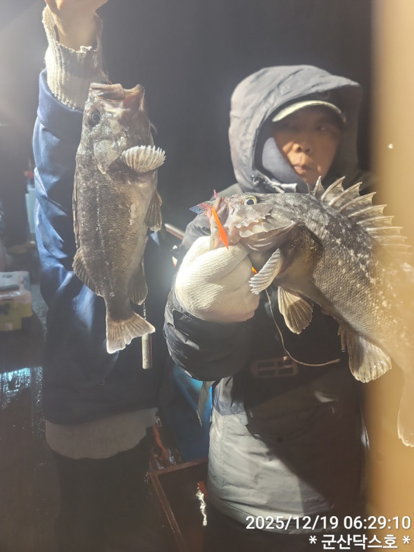 군산 선상낚시, 바다낚시 출조 전문 ☆서군산낚시☆_사진_20251219_15.jpg
