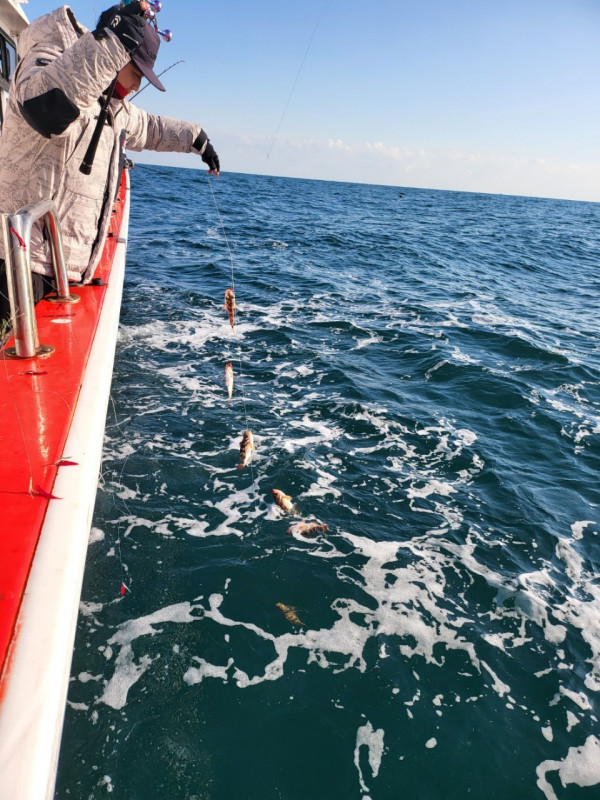 군산 선상낚시, 바다낚시 출조 전문 ☆서군산낚시☆_사진_20251228_16.jpg