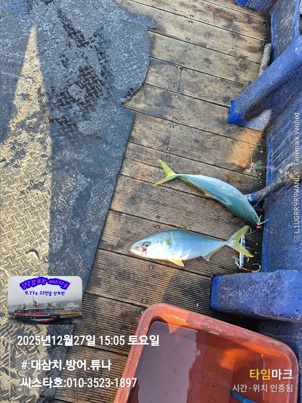 2025-12-27 15.05.04__(#-대삼치.방어.튜나)_(씨스타호-010-3523-1897).jpg