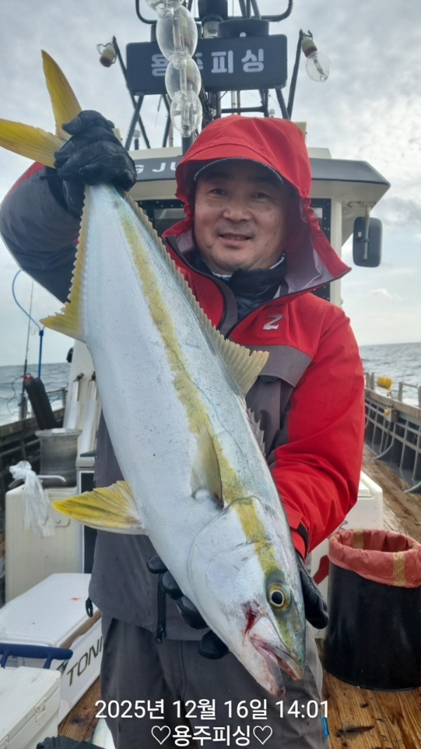용주피싱_갈치낚시_갑오징어_문어_한치낚시_쭈꾸미_생활낚시_외수질_사진_20251216_10.jpg