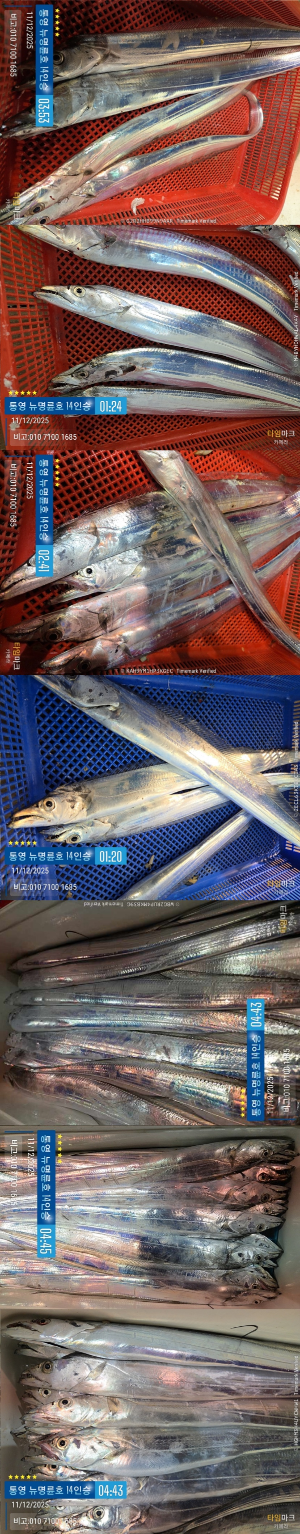 12-11갈치2.jpg