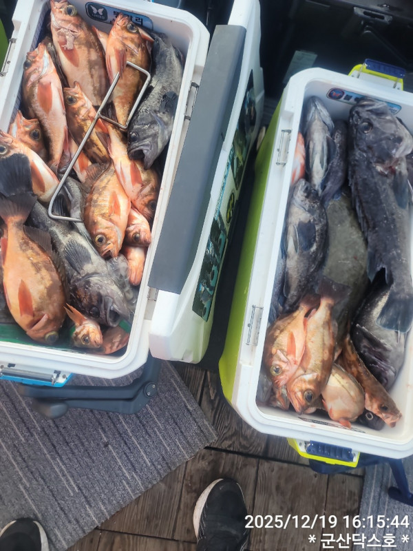 군산 선상낚시, 바다낚시 출조 전문 ☆서군산낚시☆_사진_20251219_2.jpg