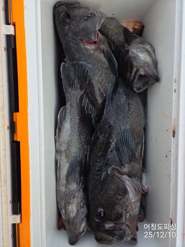 최강피싱 063.463.0800_사진_20251211_40.jpg