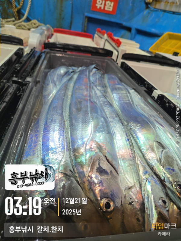 2025-12-21 03.19.57__(-흥부낚시  갈치.한치).jpg