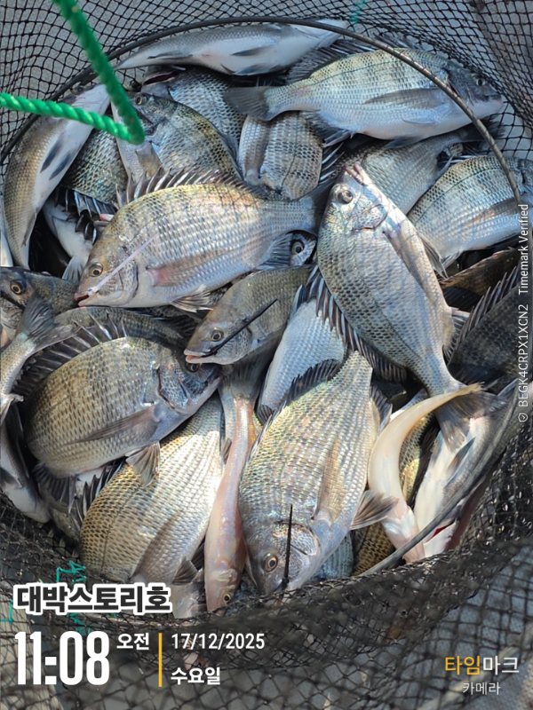 2025-12-17 11.08.33__(대박스토리호).jpg