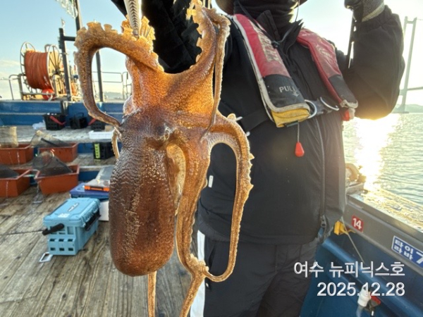 12월28일쭈꾸미 (3).jpg