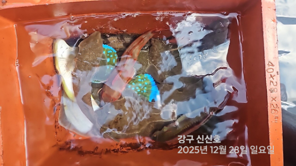 신신낚시 강구점 신신호_사진_20251228_12.jpg