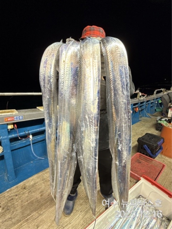 20912월17일대갈치 (42).jpg