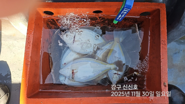 신신낚시 강구점 신신호_사진_20251130_14.jpg