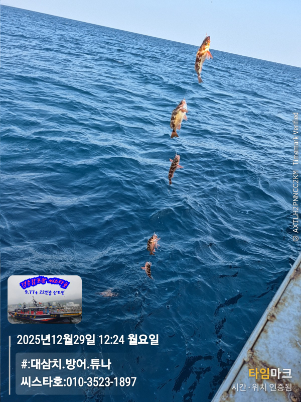 2025-12-29 12.24.50__(#-대삼치.방어.튜나)_(씨스타호-010-3523-1897).jpg
