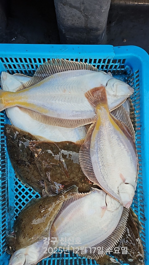 신신낚시 강구점 신신호_사진_20251217_9.jpg